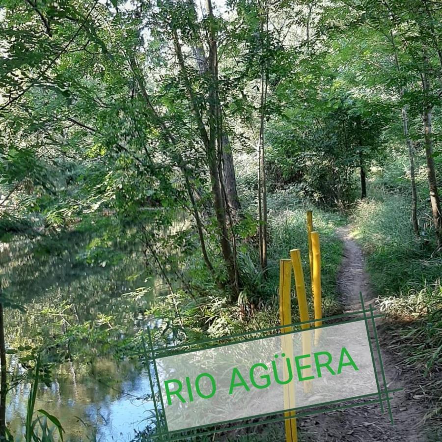 Apartamento Rio Agueera En Guriezo, Next To Castro Urdiales Y Bilbao Adino 外观 照片